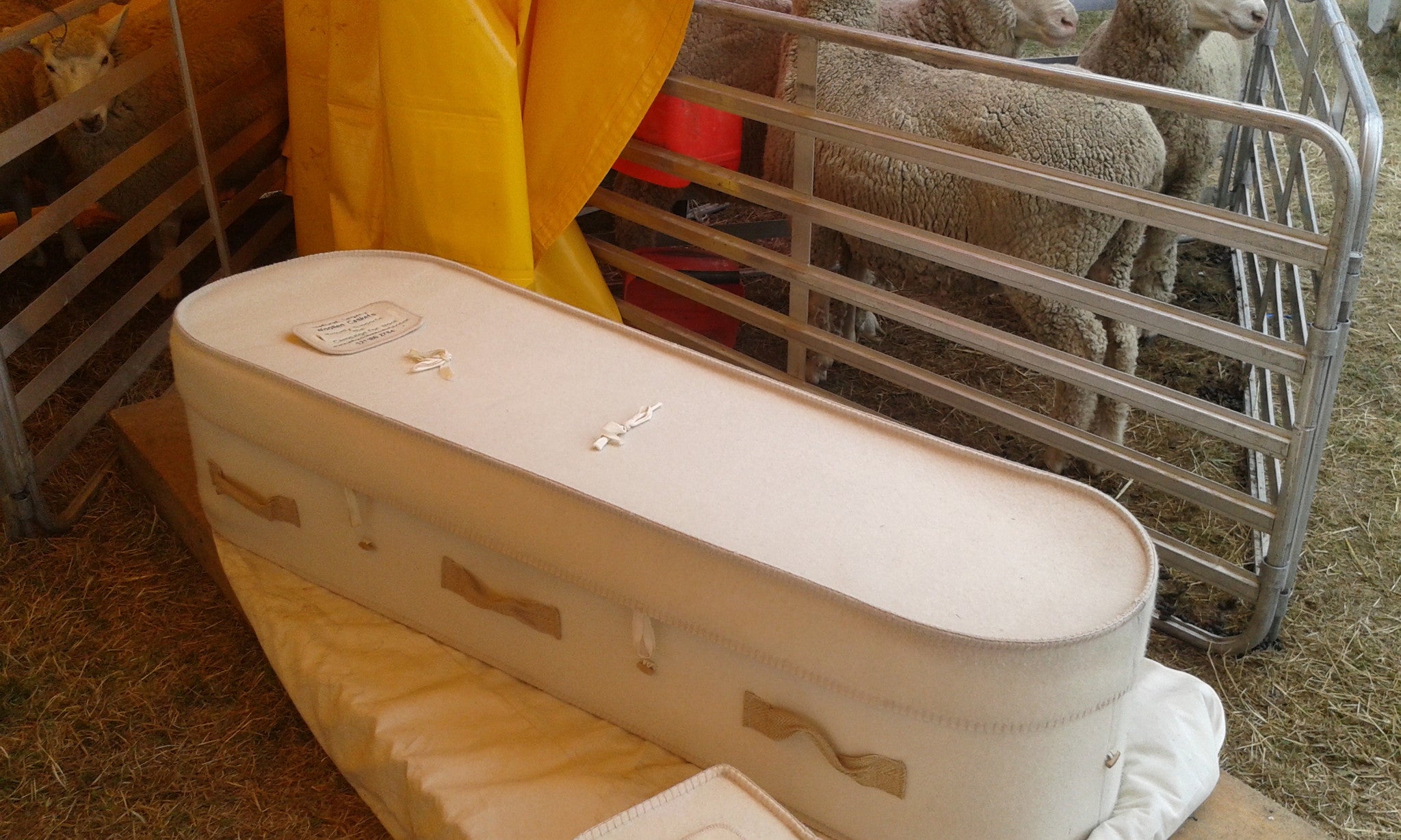 Natural Legacy Woollen Caskets at the Cheviot A&P Show wool display.