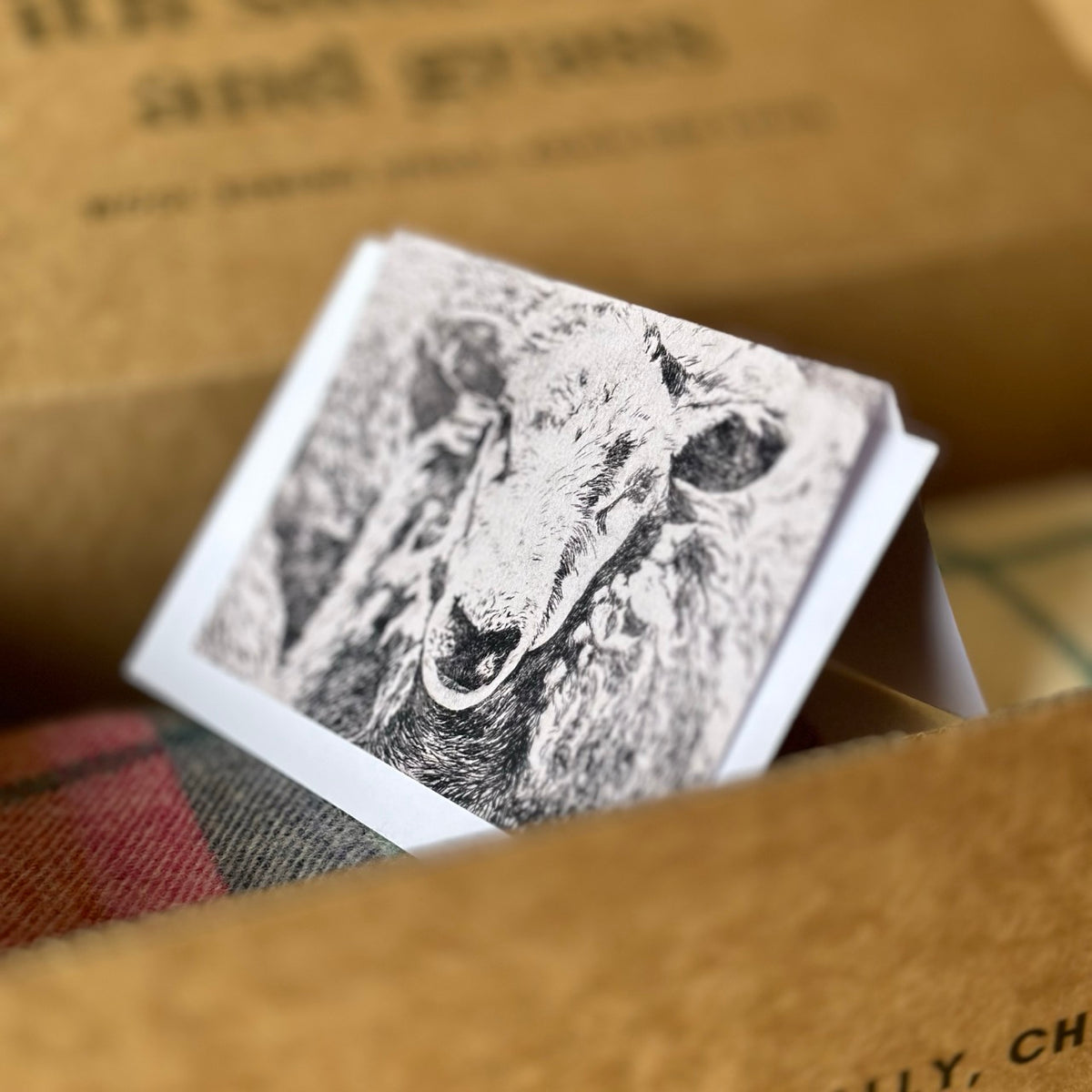 Woollen Wonders Box - Exquisite Wool Traders