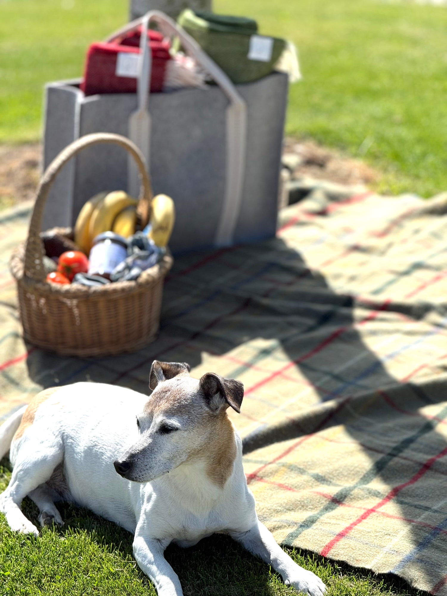 The Wool Bag - Exquisite Wool Traders