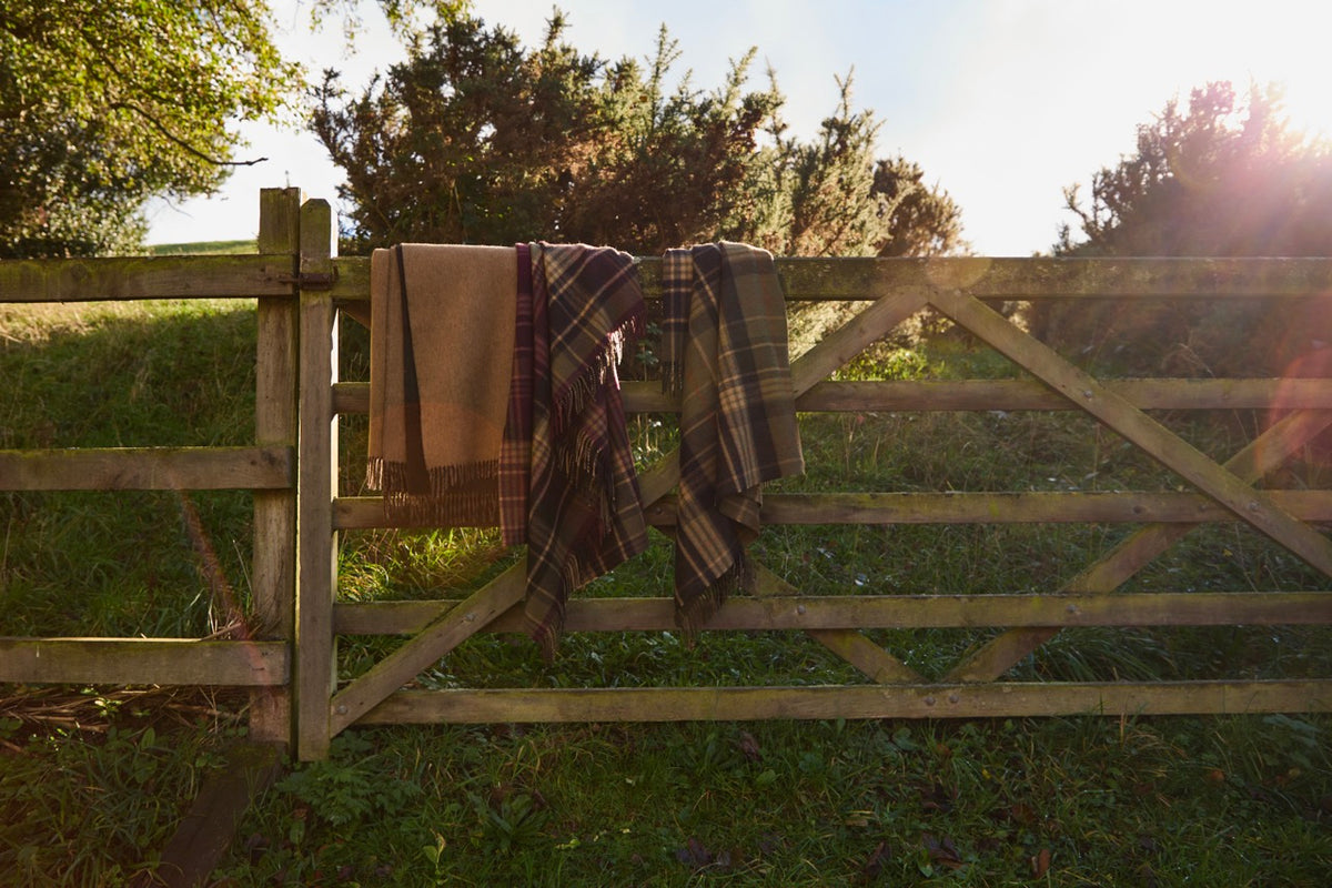 Estate Plaid Olive 100% Merino Throw