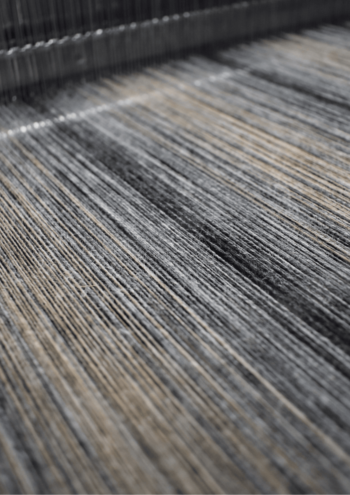 Interiors by MOON – Naturally II